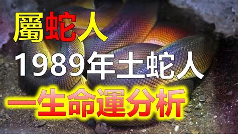 屬蛇的命運|生肖蛇: 性格，愛情，2024運勢，生肖1989，2001，2013